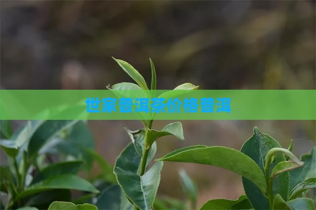 茶世家普洱茶价格