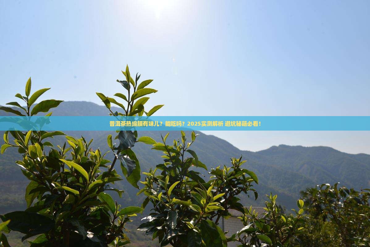 普洱茶热缩膜有味道吗能吃吗