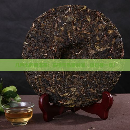 几月出的普洱茶