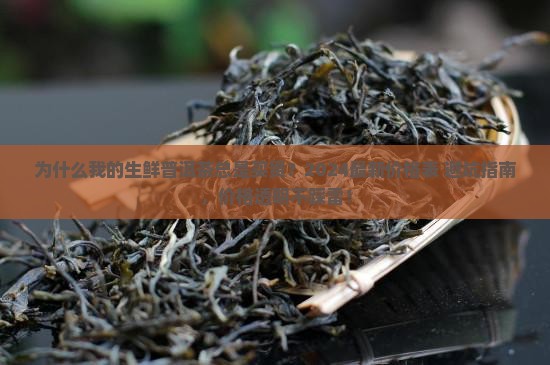 生鲜普洱茶价格表