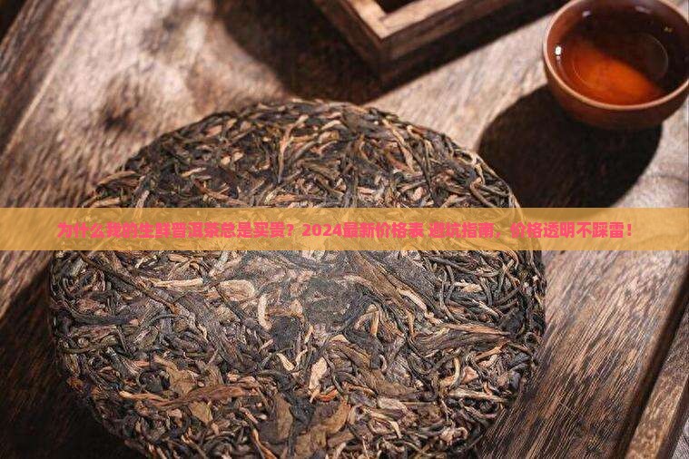 生鲜普洱茶价格表