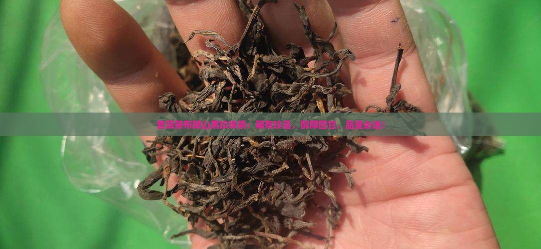 普洱茶布郎山黑珍珠茶