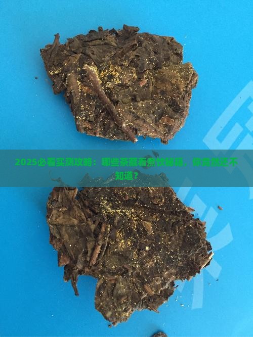 什么茶能煮着喝吗
