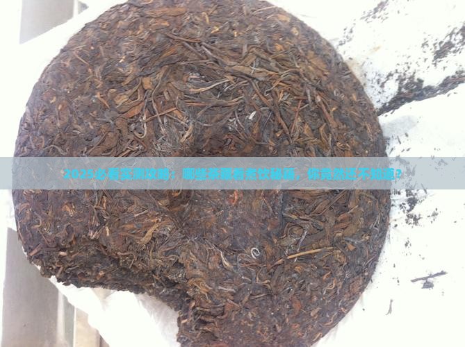 什么茶能煮着喝吗
