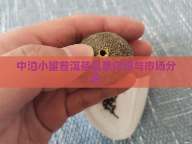 中泊小罐普洱茶