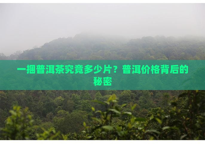一捆普洱茶究竟多少片？普洱价格背后的秘密