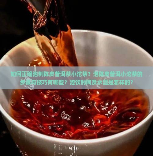 如何正确泡制陈皮普洱茶小沱茶？泡陈皮普洱小沱茶的步骤与技巧有哪些？泡饮时间及水温是怎样的？