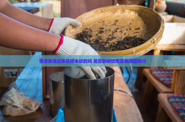 普洱茶泡出来是碎末状的吗 是否影响饮用及其原因探讨