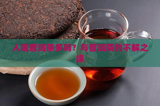人喝普洱茶多吗？与普洱茶的不解之缘