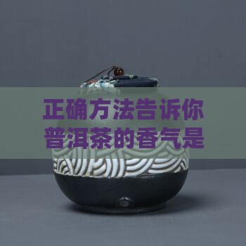 正确方法告诉你普洱茶的香气是怎么来的