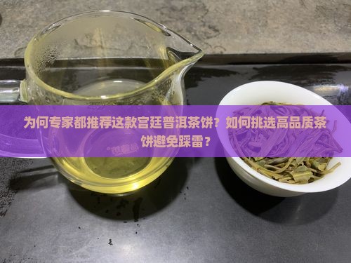 为何专家都推荐这款宫廷普洱茶饼？如何挑选高品质茶饼避免踩雷？