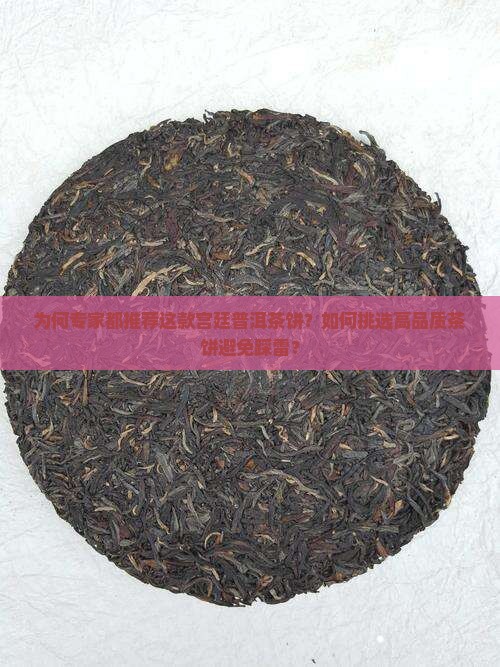 为何专家都推荐这款宫廷普洱茶饼？如何挑选高品质茶饼避免踩雷？