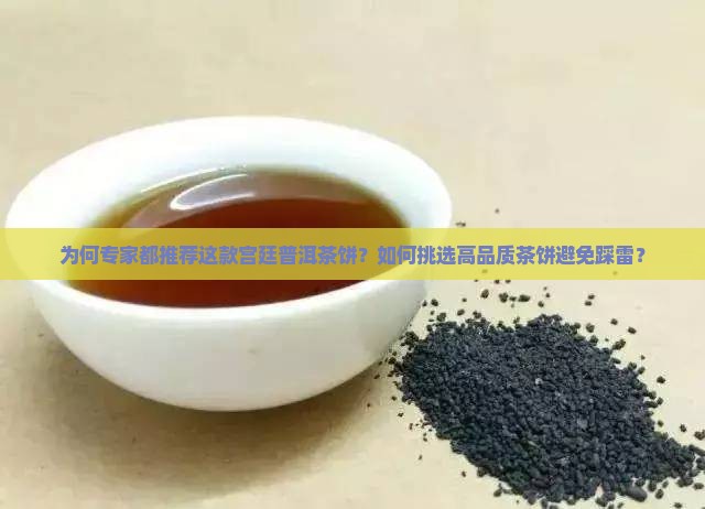 为何专家都推荐这款宫廷普洱茶饼？如何挑选高品质茶饼避免踩雷？