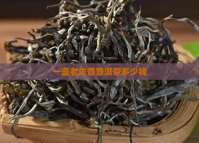 一壶老生普普洱茶多少钱