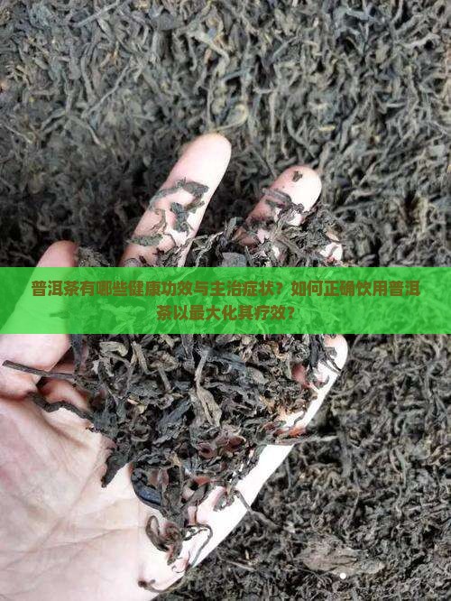 普洱茶有哪些健康功效与主治症状？如何正确饮用普洱茶以最大化其疗效？