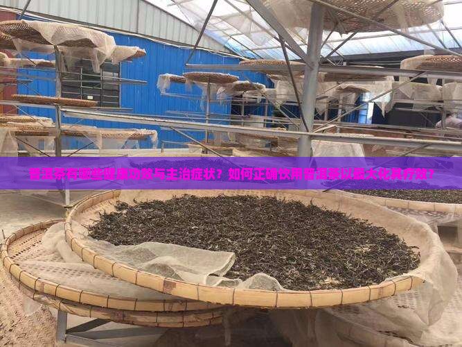 普洱茶有哪些健康功效与主治症状？如何正确饮用普洱茶以最大化其疗效？