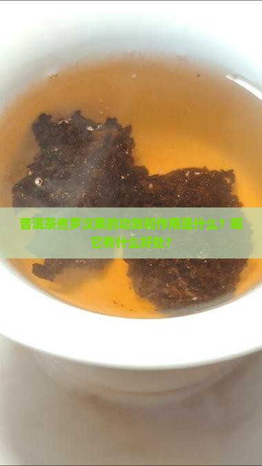 普洱茶煮罗汉果的功效和作用是什么？喝它有什么好处？