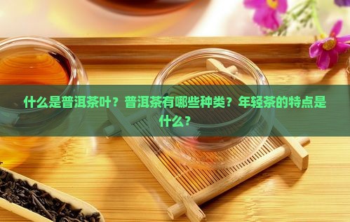 什么是普洱茶叶？普洱茶有哪些种类？年轻茶的特点是什么？