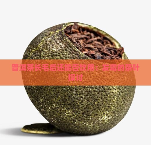 普洱茶长毛后还能否饮用：发霉的茶叶探讨