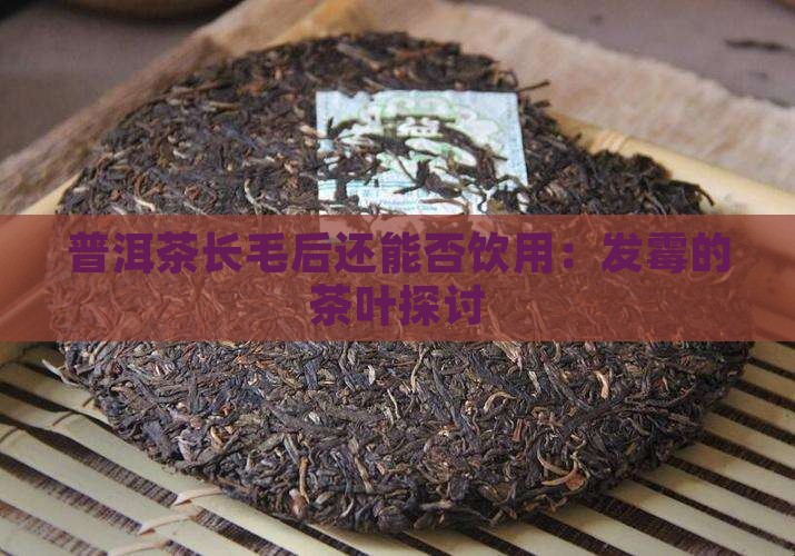 普洱茶长毛后还能否饮用：发霉的茶叶探讨