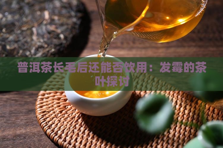 普洱茶长毛后还能否饮用：发霉的茶叶探讨
