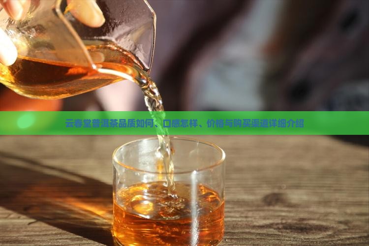 云春堂普洱茶品质如何、口感怎样、价格与购买渠道详细介绍
