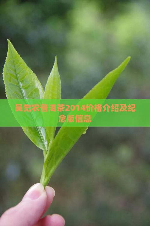 吴觉农普洱茶2014价格介绍及纪念版信息