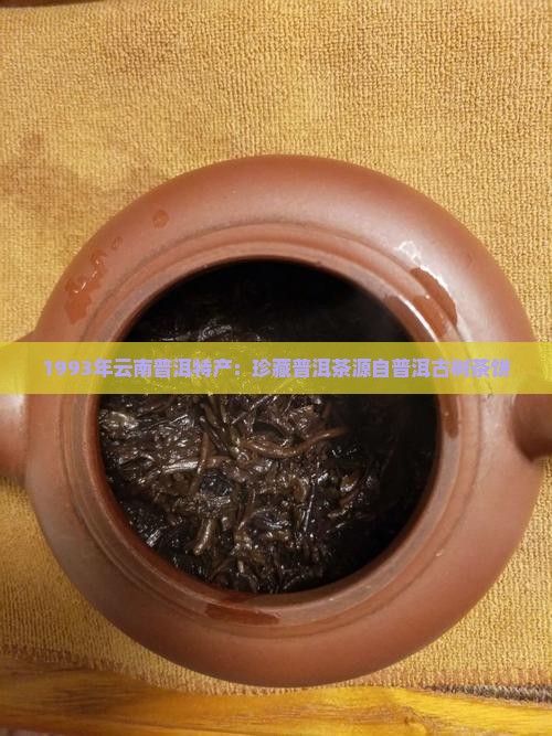 1993年云南普洱特产：珍藏普洱茶源自普洱古树茶饼