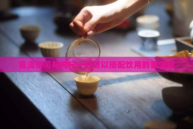 普洱茶可与枸杞一起可以搭配饮用的普洱茶