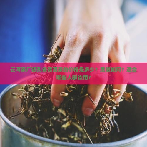 云河茶厂银孔雀普洱茶的价格是多少？质量如何？适合哪些人群饮用？