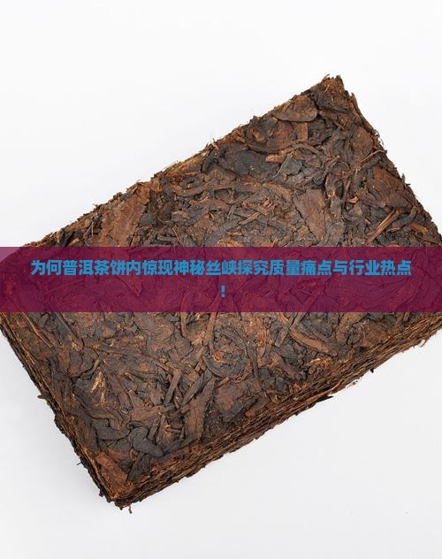 为何普洱茶饼内惊现神秘丝峡探究质量痛点与行业热点！