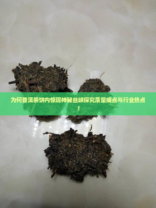 为何普洱茶饼内惊现神秘丝峡探究质量痛点与行业热点！