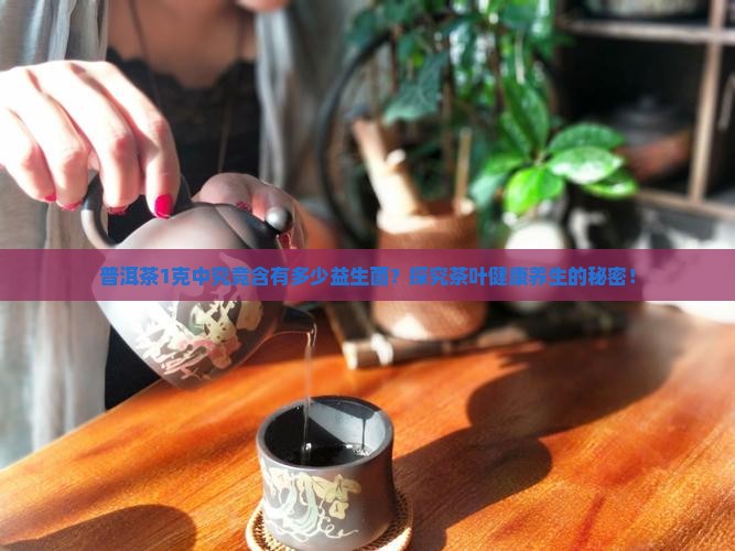 普洱茶1克中究竟含有多少益生菌？探究茶叶健康养生的秘密！