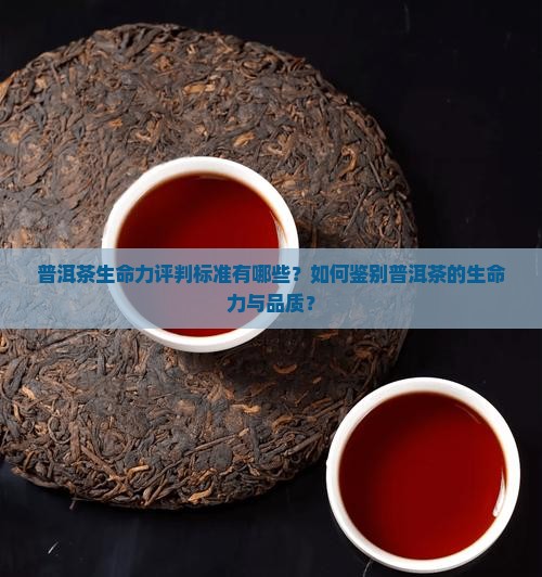 普洱茶生命力评判标准有哪些？如何鉴别普洱茶的生命力与品质？