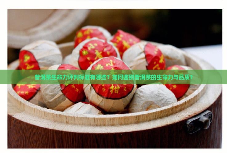 普洱茶生命力评判标准有哪些？如何鉴别普洱茶的生命力与品质？