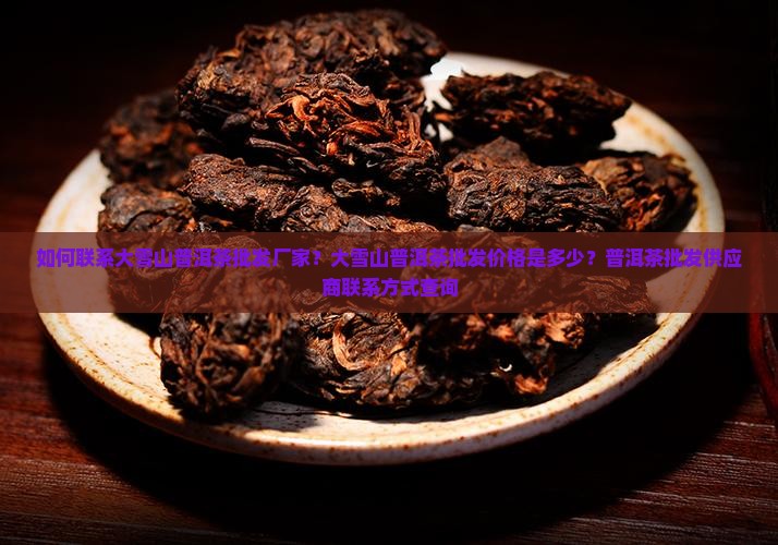 如何联系大雪山普洱茶批发厂家？大雪山普洱茶批发价格是多少？普洱茶批发供应商联系方式查询