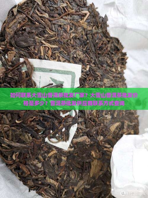 如何联系大雪山普洱茶批发厂家？大雪山普洱茶批发价格是多少？普洱茶批发供应商联系方式查询