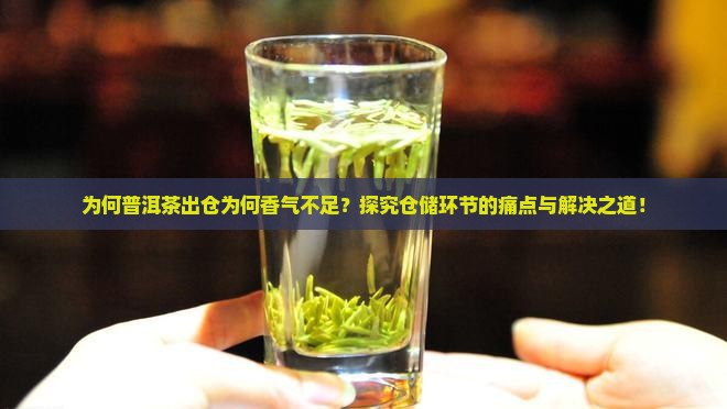 为何普洱茶出仓为何香气不足？探究仓储环节的痛点与解决之道！