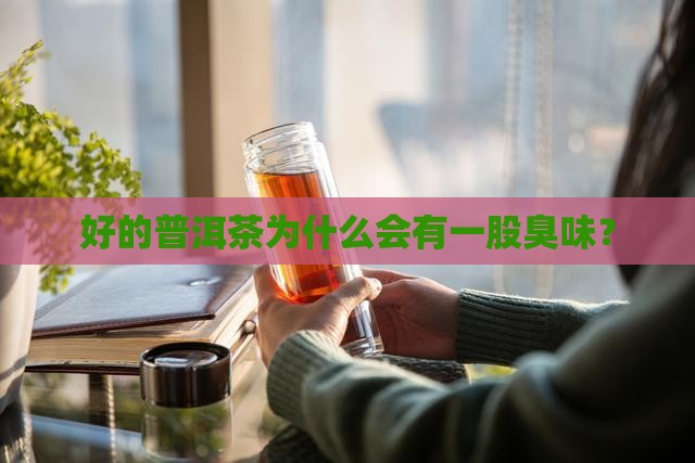 好的普洱茶为什么会有一股臭味？
