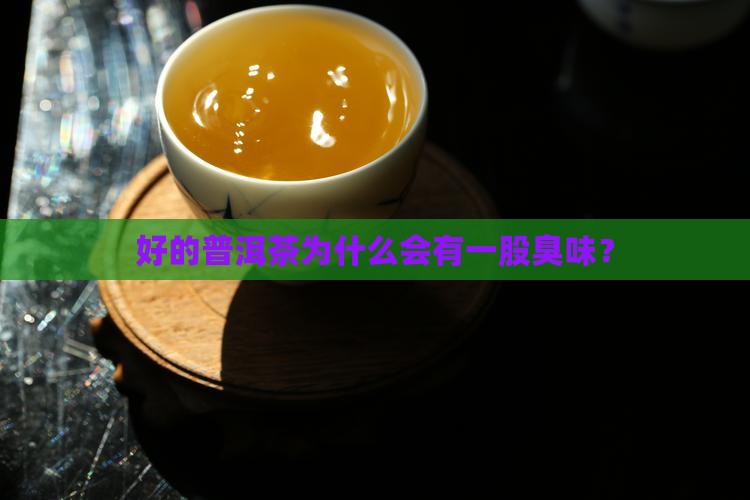 好的普洱茶为什么会有一股臭味？