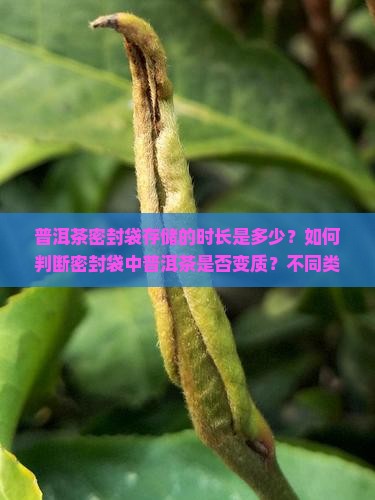 普洱茶密封袋存储的时长是多少？如何判断密封袋中普洱茶是否变质？不同类型的普洱茶在密封袋中保存时间有何差异？