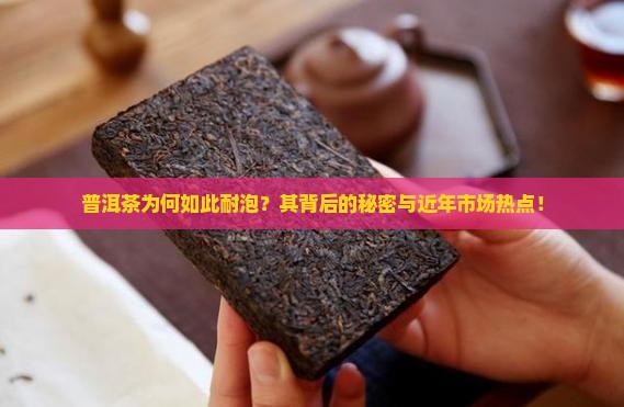 普洱茶为何如此耐泡？其背后的秘密与近年市场热点！