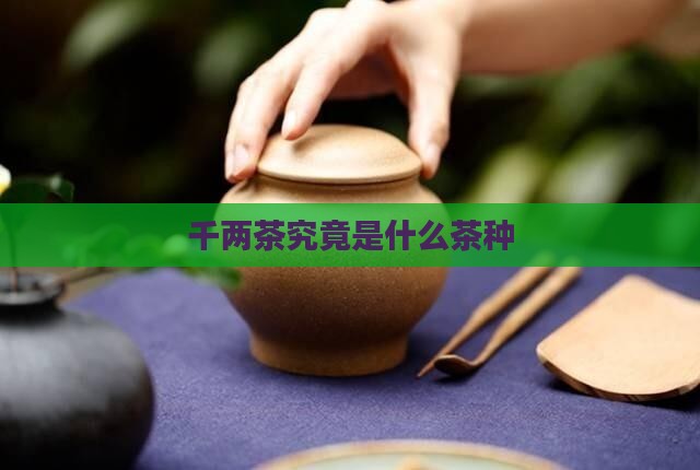 千两茶究竟是什么茶种 千两茶究竟是什么茶种