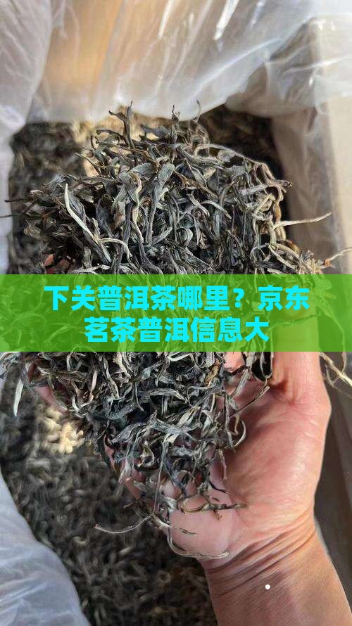 下关普洱茶哪里？京东茗茶普洱信息大
