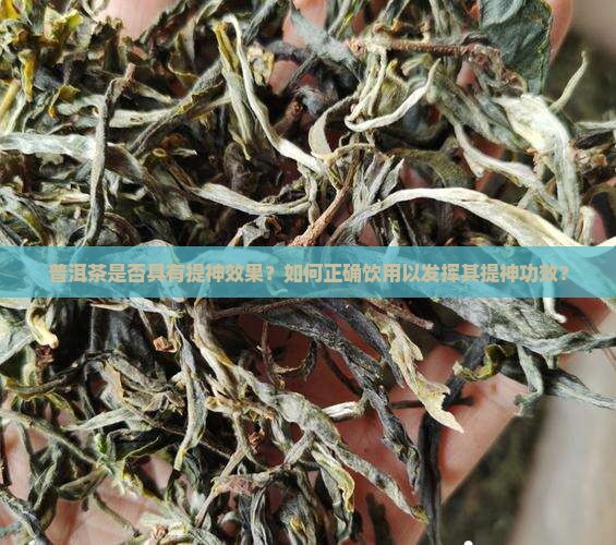 普洱茶是否具有提神效果？如何正确饮用以发挥其提神功效？