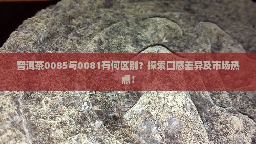 普洱茶0085与0081有何区别？探索口感差异及市场热点！