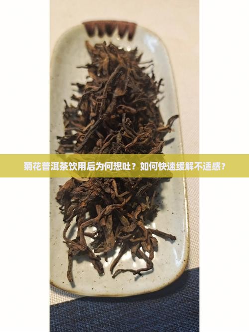 菊花普洱茶饮用后为何想吐？如何快速缓解不适感？