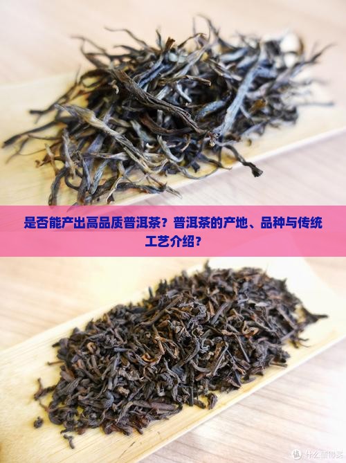 是否能产出高品质普洱茶？普洱茶的产地、品种与传统工艺介绍？