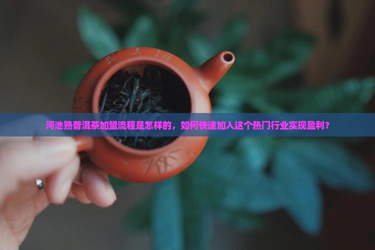 河池熟普洱茶加盟流程是怎样的，如何快速加入这个热门行业实现盈利？
