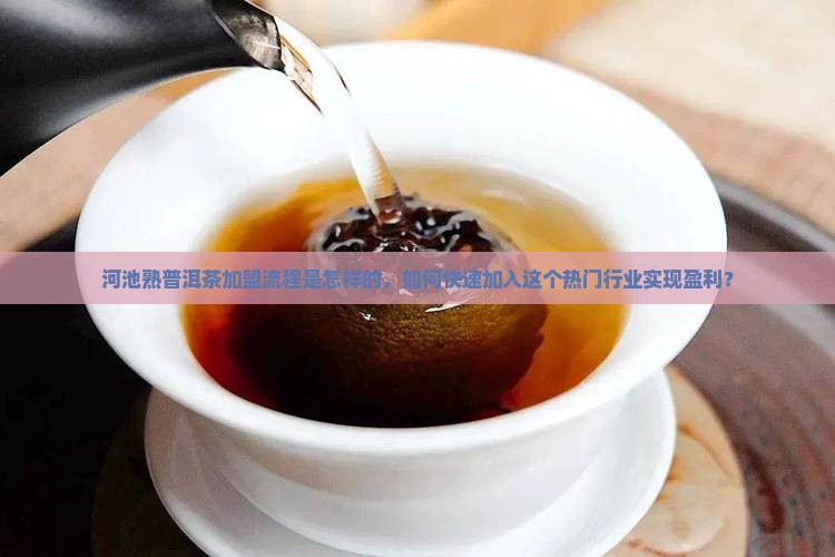 河池熟普洱茶加盟流程是怎样的，如何快速加入这个热门行业实现盈利？